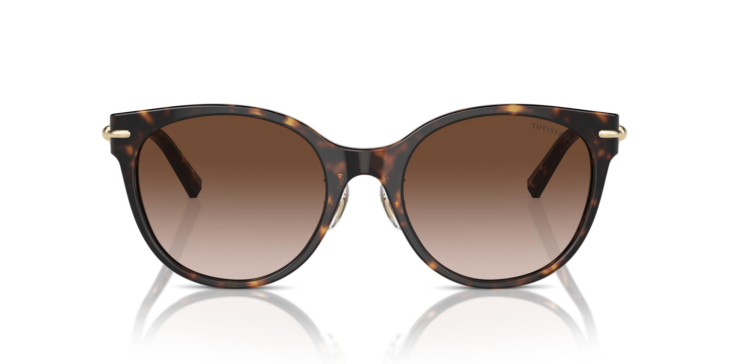 Tiffany TF4223D 80153B 54