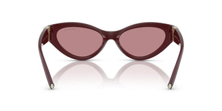 Tiffany TF4225U 838930 54