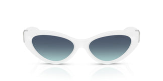 Tiffany TF4225U 83929S 54