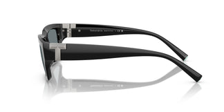 Tiffany TF4226U 80016G 56