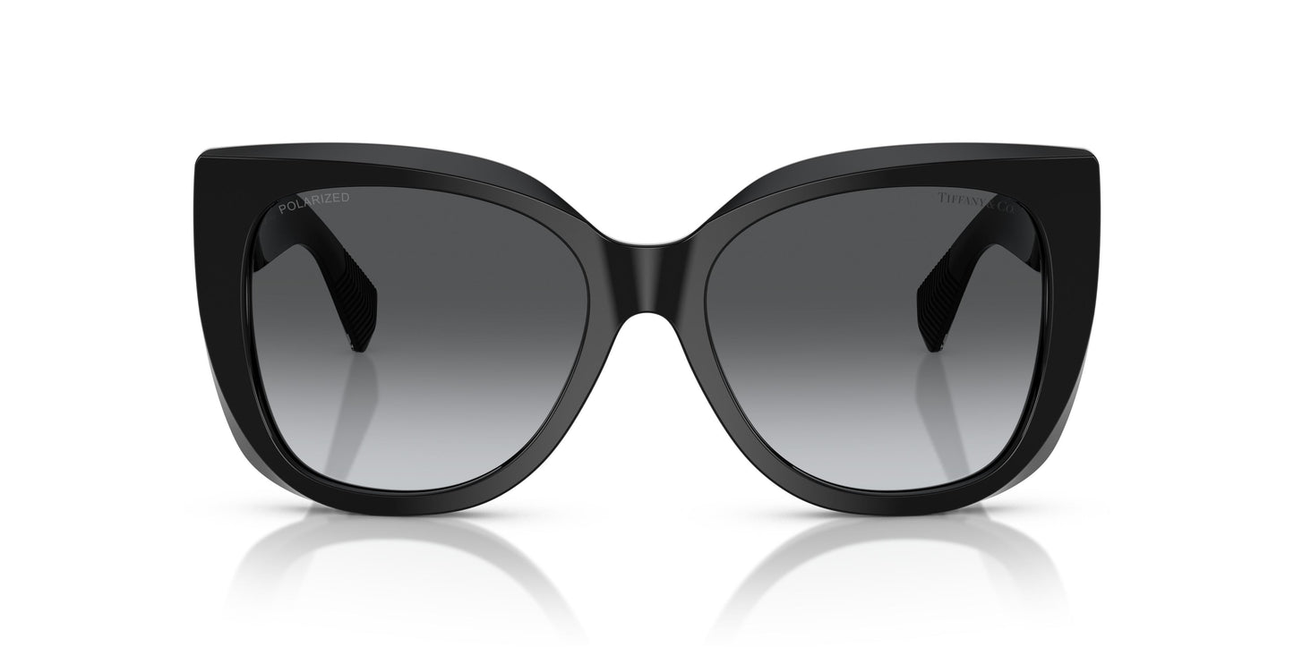 Tiffany TF4229 8001T3 55