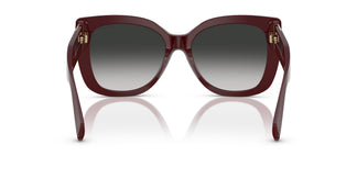 Tiffany TF4229 83893C 55