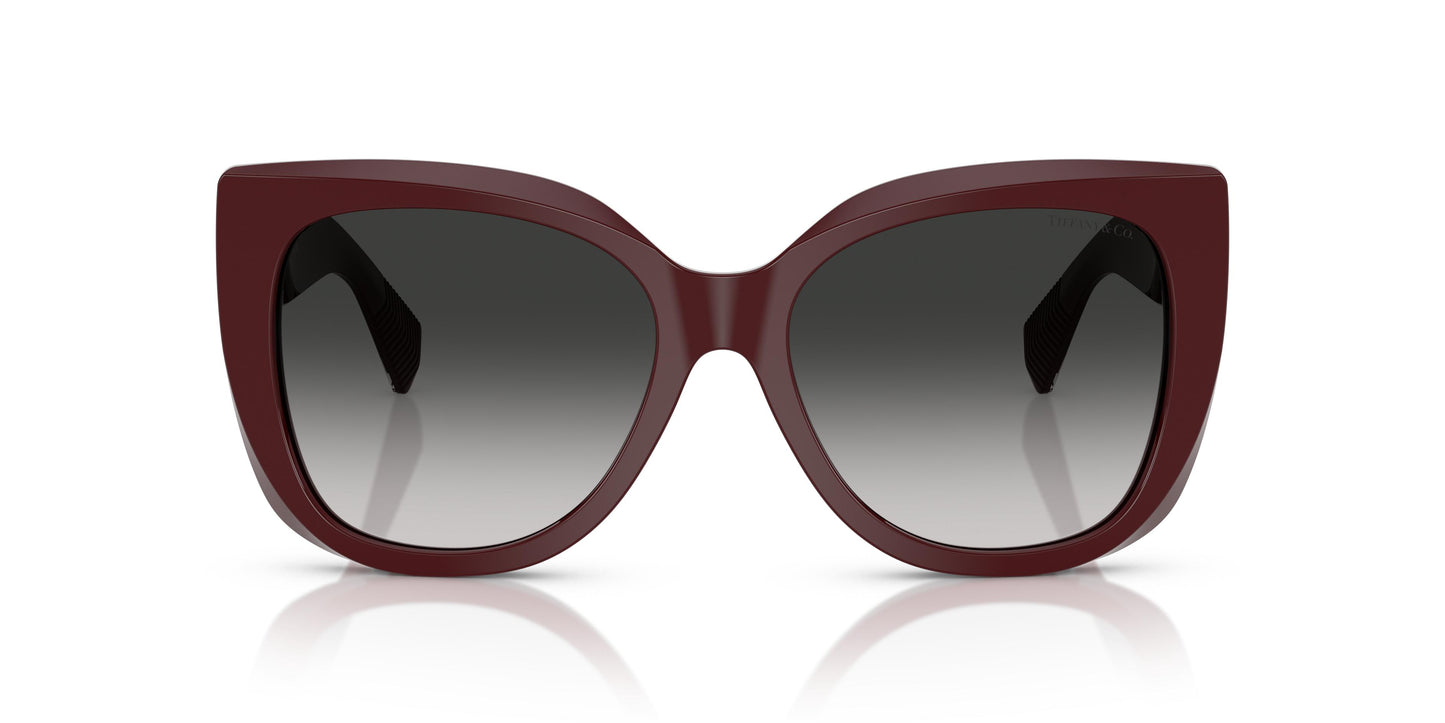 Tiffany TF4229 83893C 55