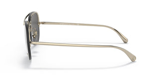 Versace VE2231 12526G 60