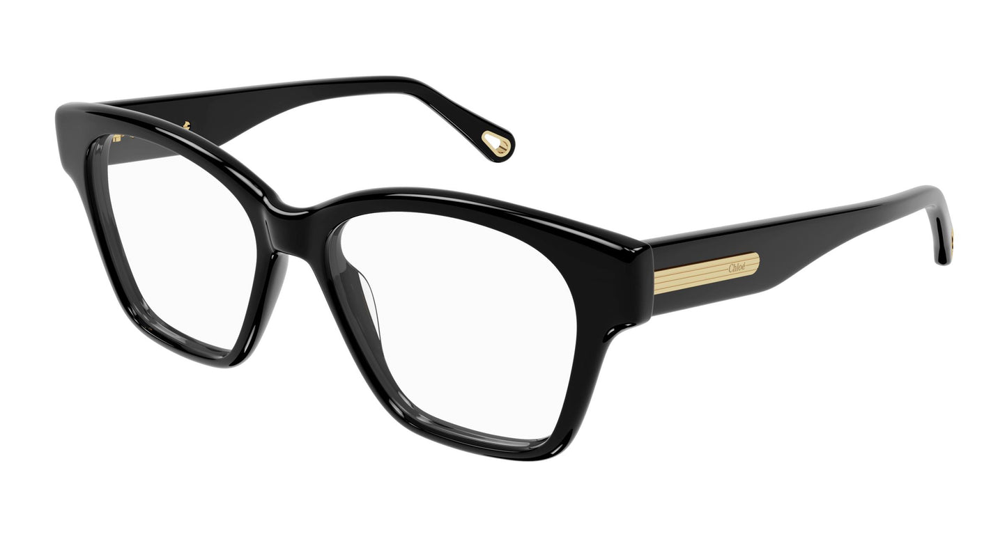 Chloé CH0122O 001 52