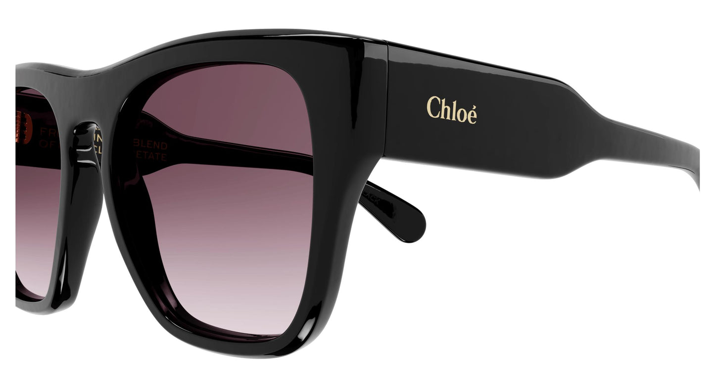 Chloé CH0149S 001 55