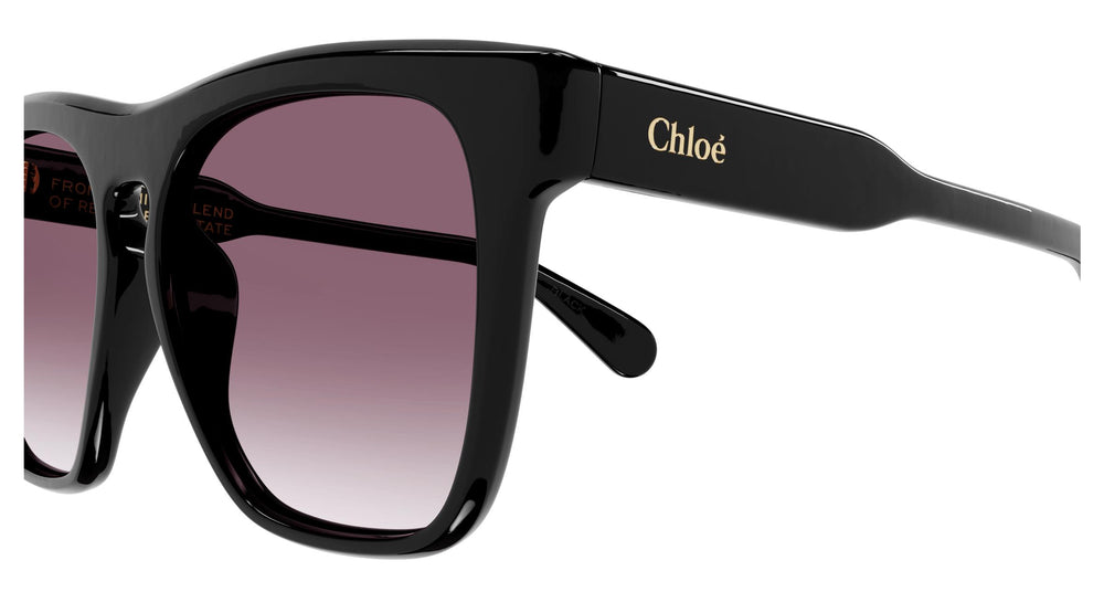 Chloé CH0149SA 001 56