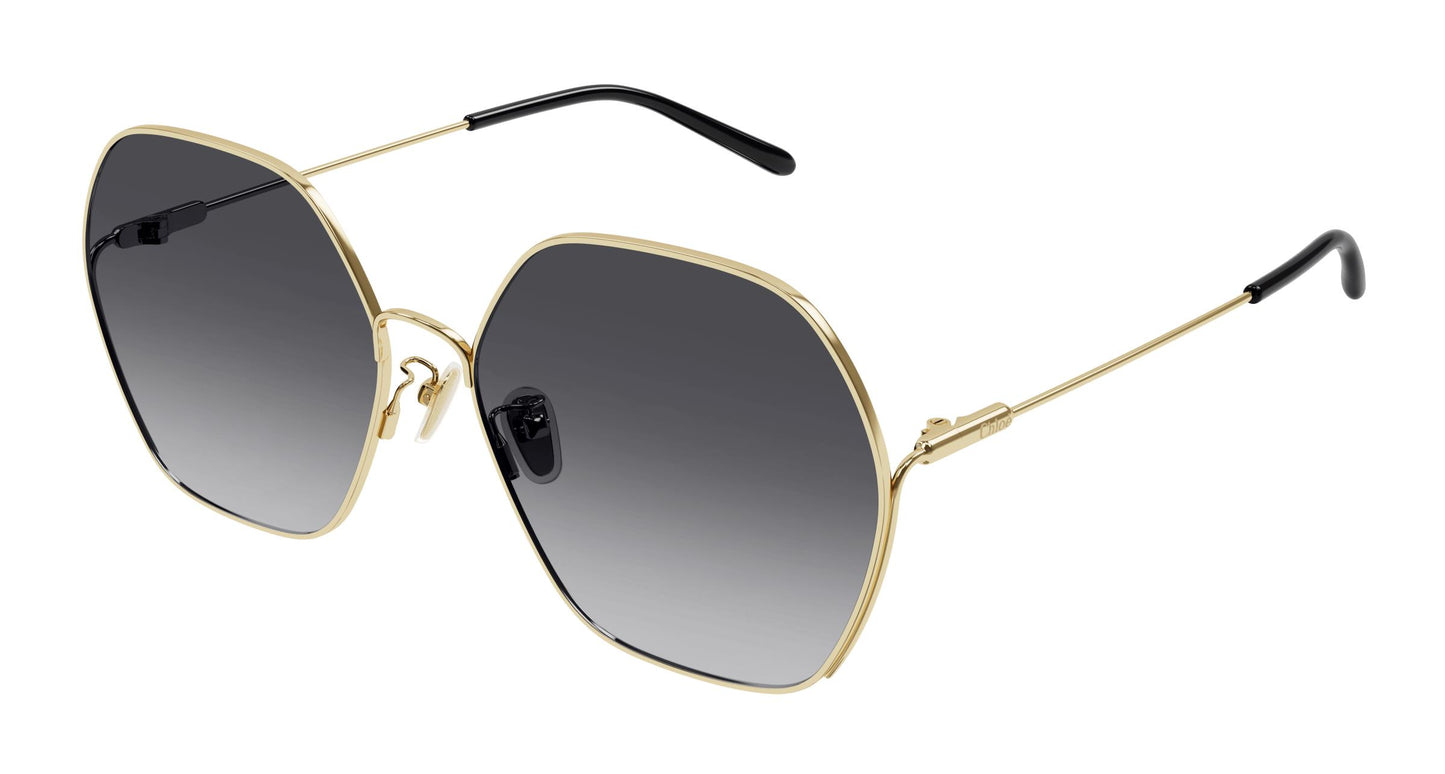 Chloé CH0169SA 001 61