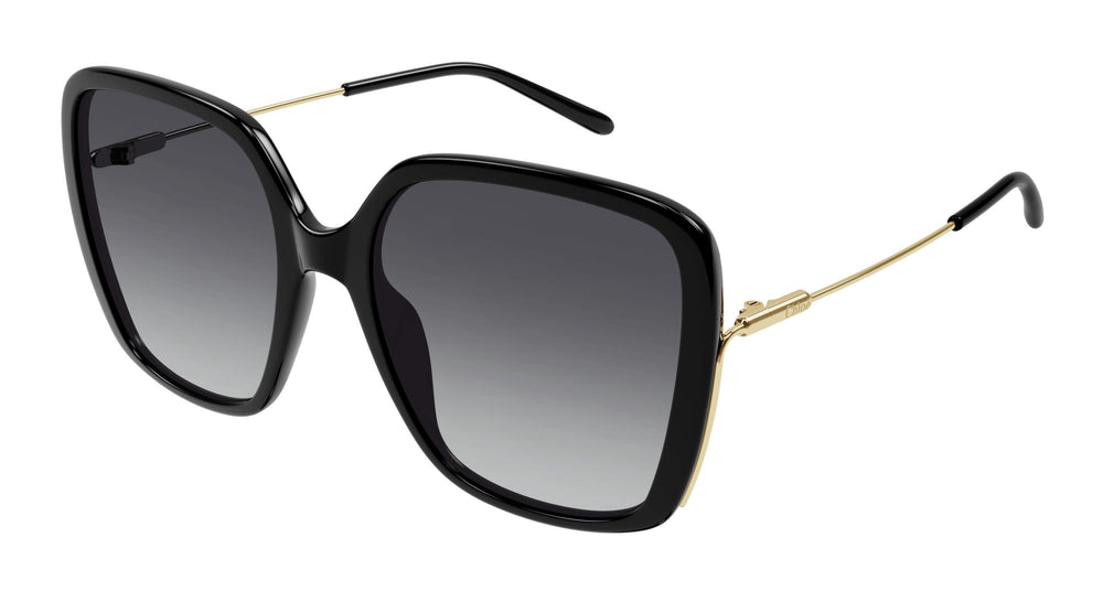 Chloé CH0173S 001 57