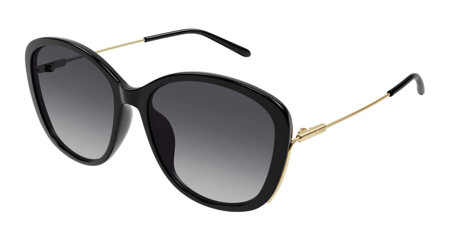 Chloé CH0175SK 001 59