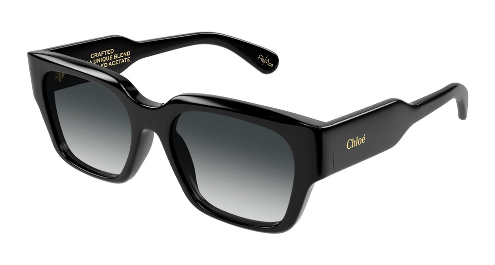 Chloé CH0190S 001 54