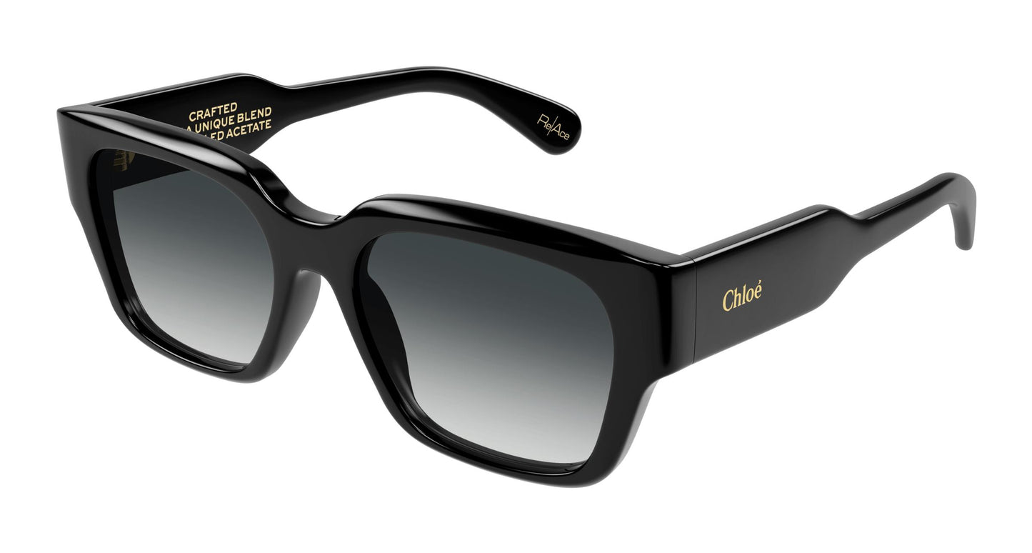 Chloé CH0190S 001 54