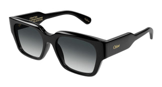 Chloé CH0190S 001 54
