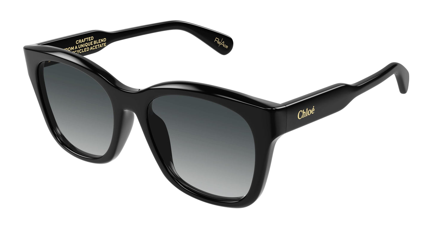 Chloé CH0194SK 001 55