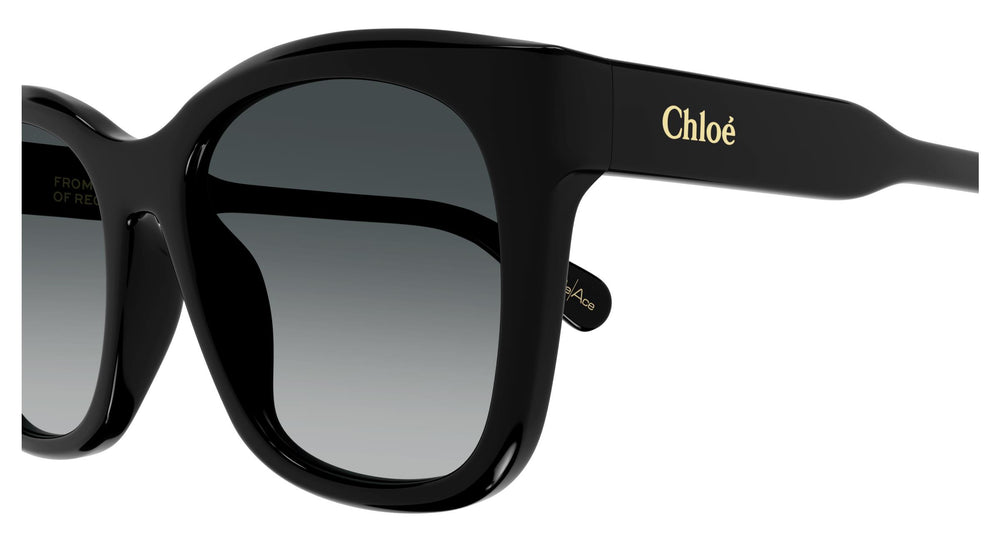 Chloé CH0194SK 001 55
