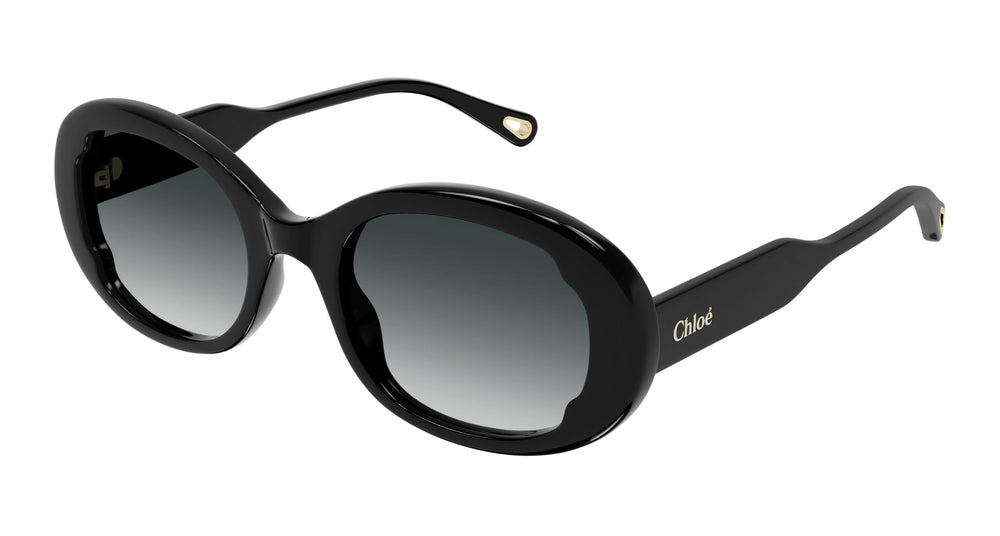 Chloé CH0197S 001 53