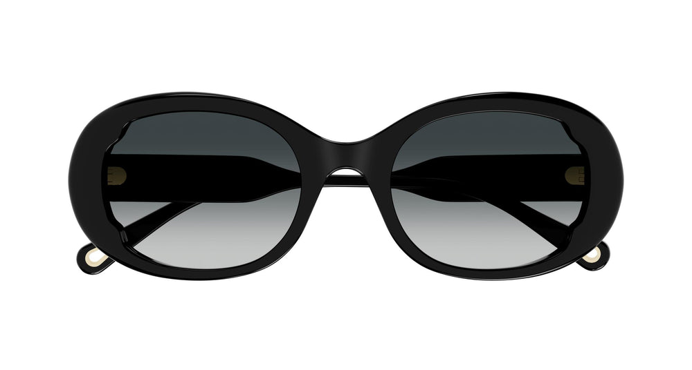 Chloé CH0197S 001 53