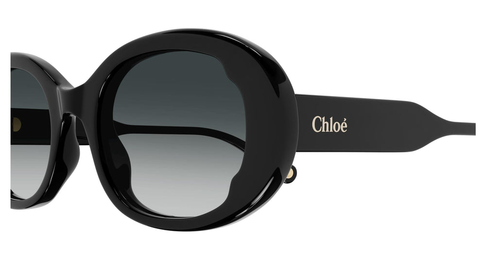 Chloé CH0197S 001 53