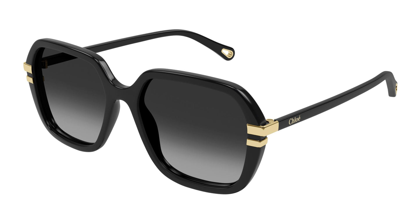 Chloé CH0204S 001 57