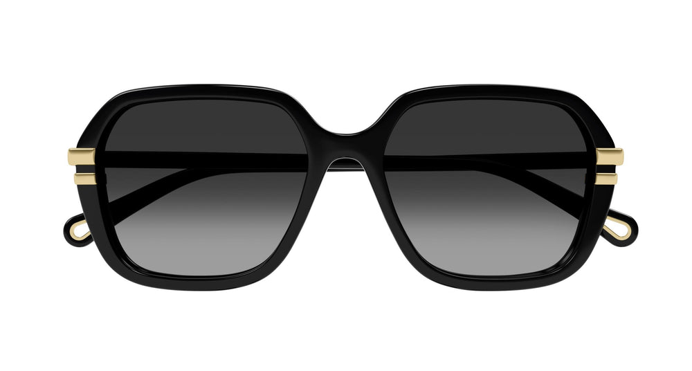 Chloé CH0204S 001 57