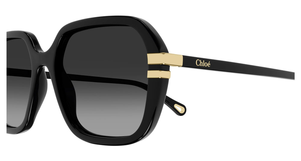 Chloé CH0204S 001 57