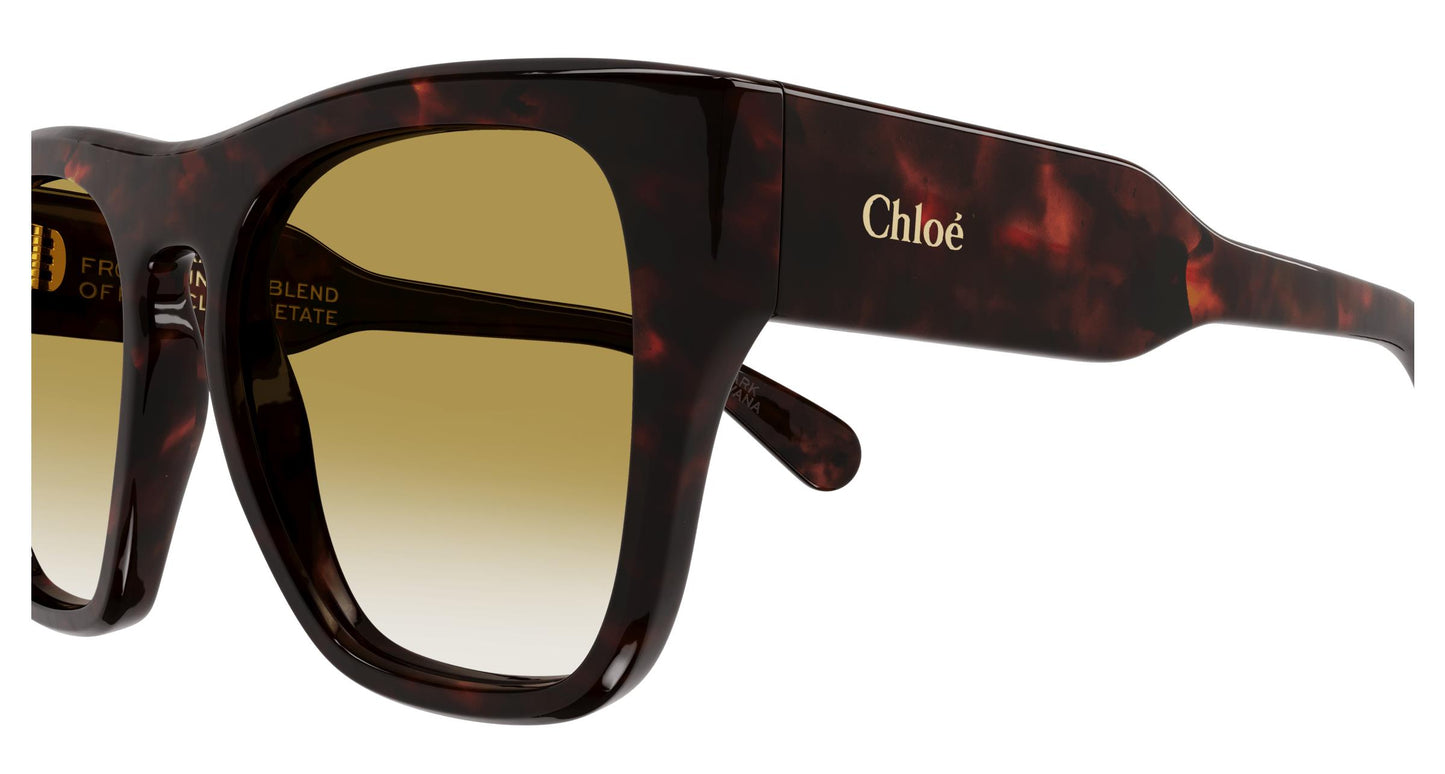 Chloé CH0149S 002 55