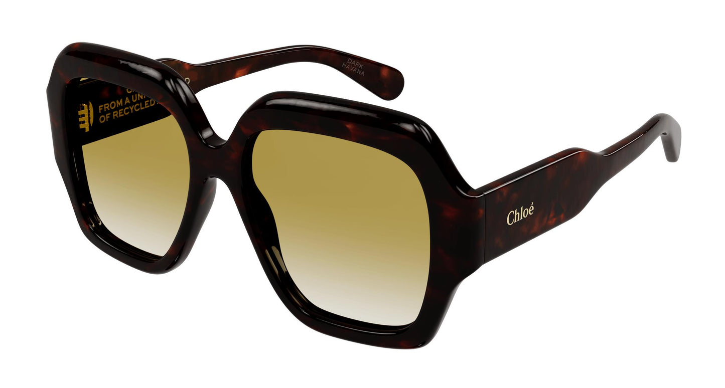 Chloé CH0154S 002 56