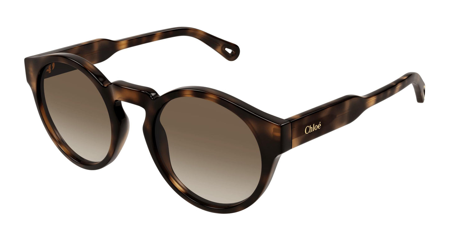 Chloé CH0158S 002 52