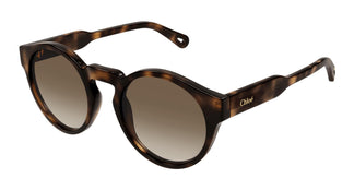 Chloé CH0158S 002 52