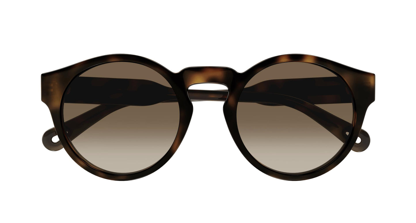 Chloé CH0158S 002 52