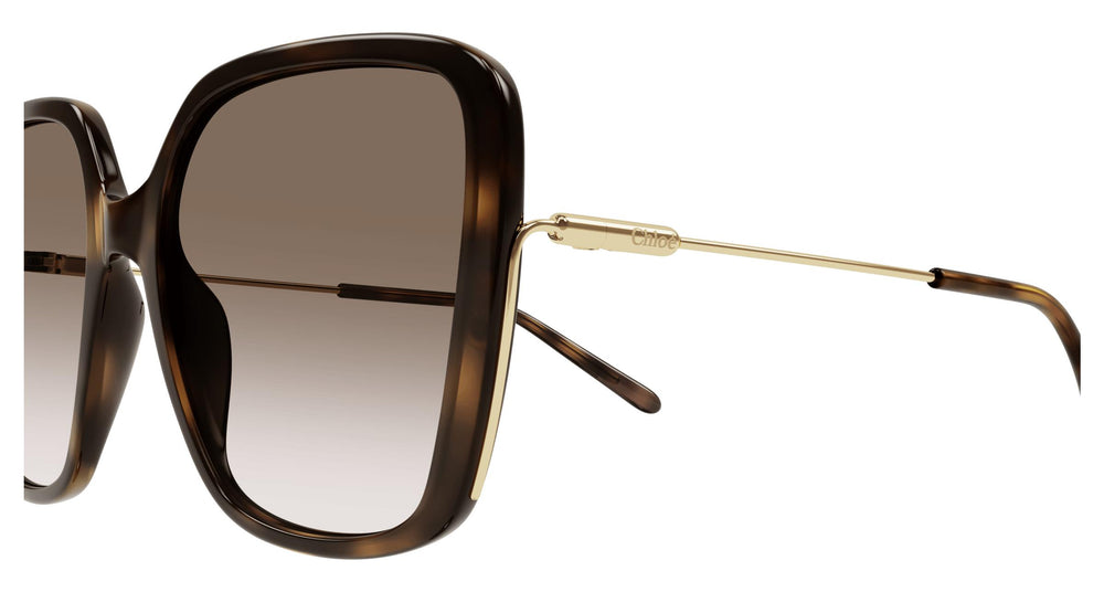 Chloé CH0173S 002 57