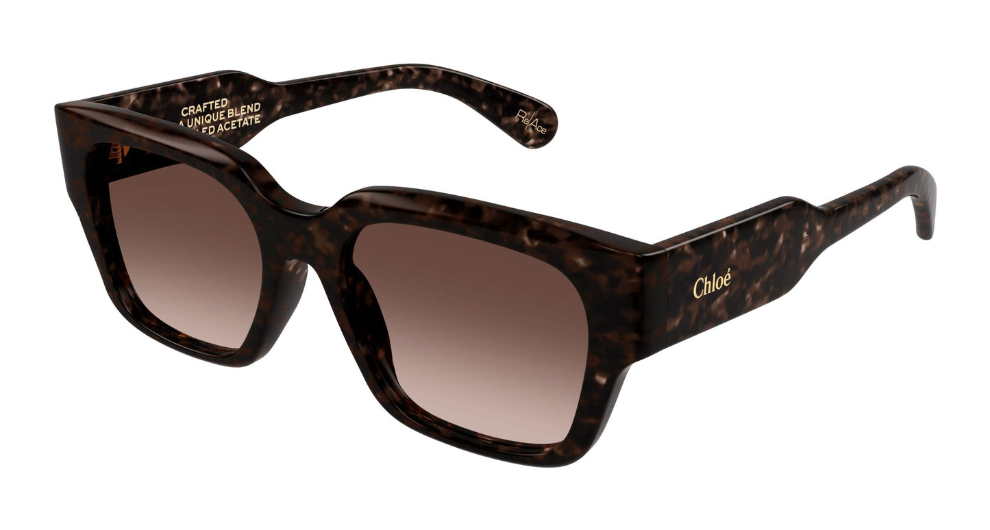 Chloé CH0190S 002 54