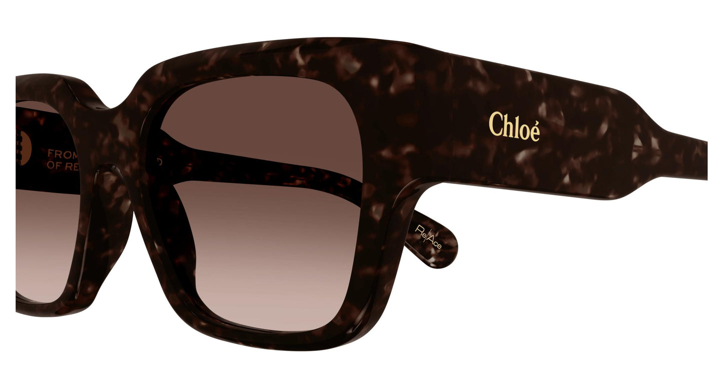 Chloé CH0190S 002 54