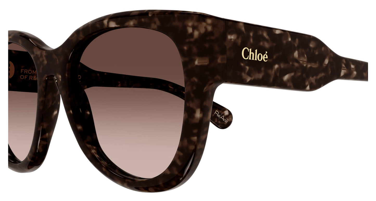 Chloé CH0192S 002 55