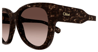 Chloé CH0192S 002 55