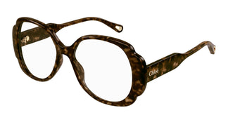 Chloé CH0196O 002 53