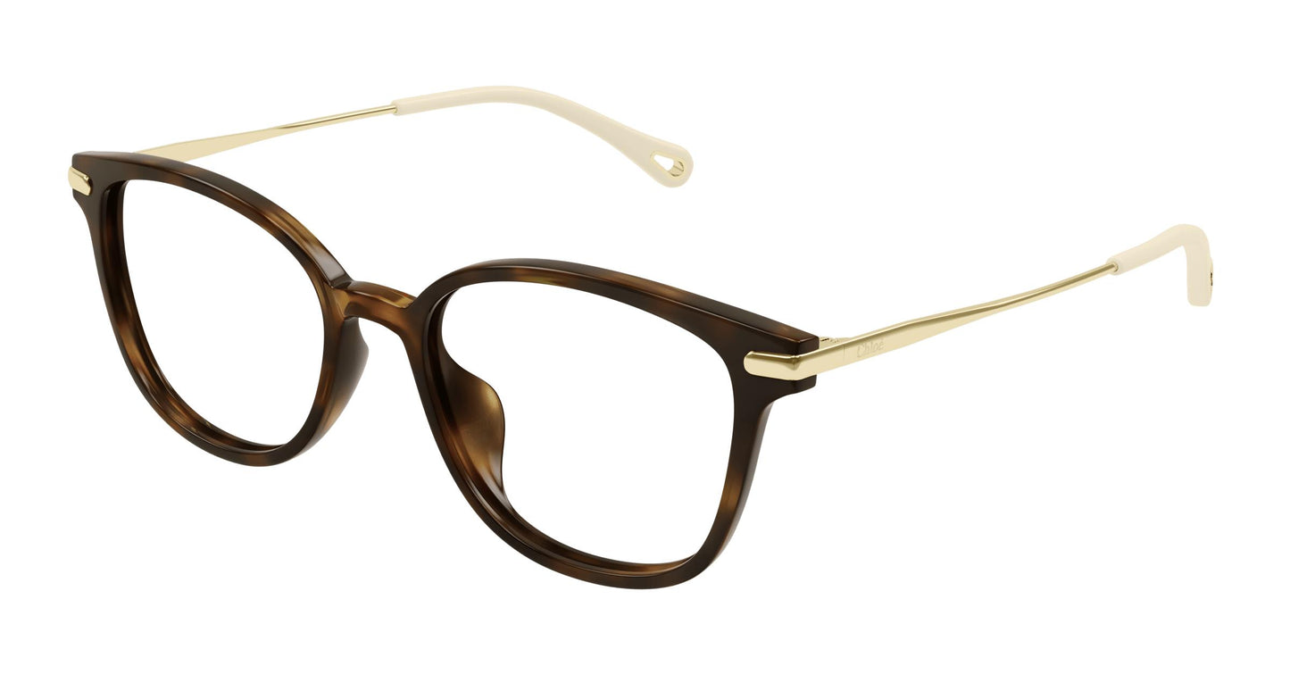 Chloé CH0219OA 002 53