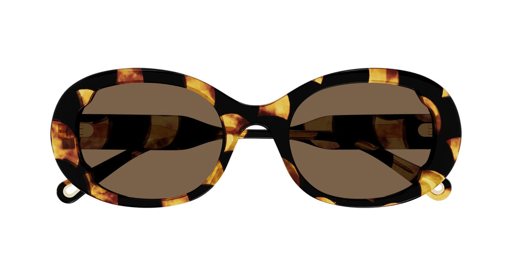 Chloé CH0197S 003 53