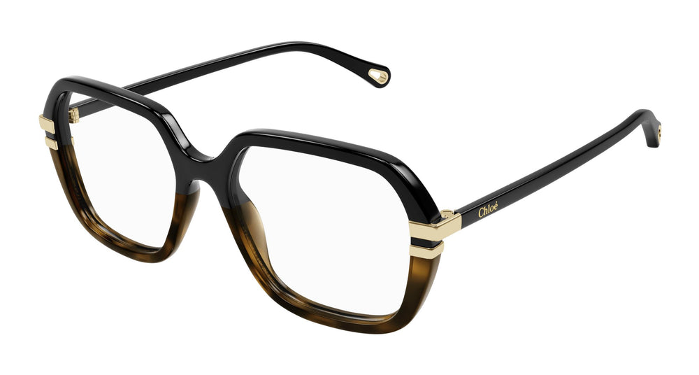 Chloé CH0205O 003 53