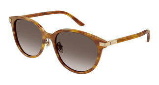 Gucci GG1452SK 004 55