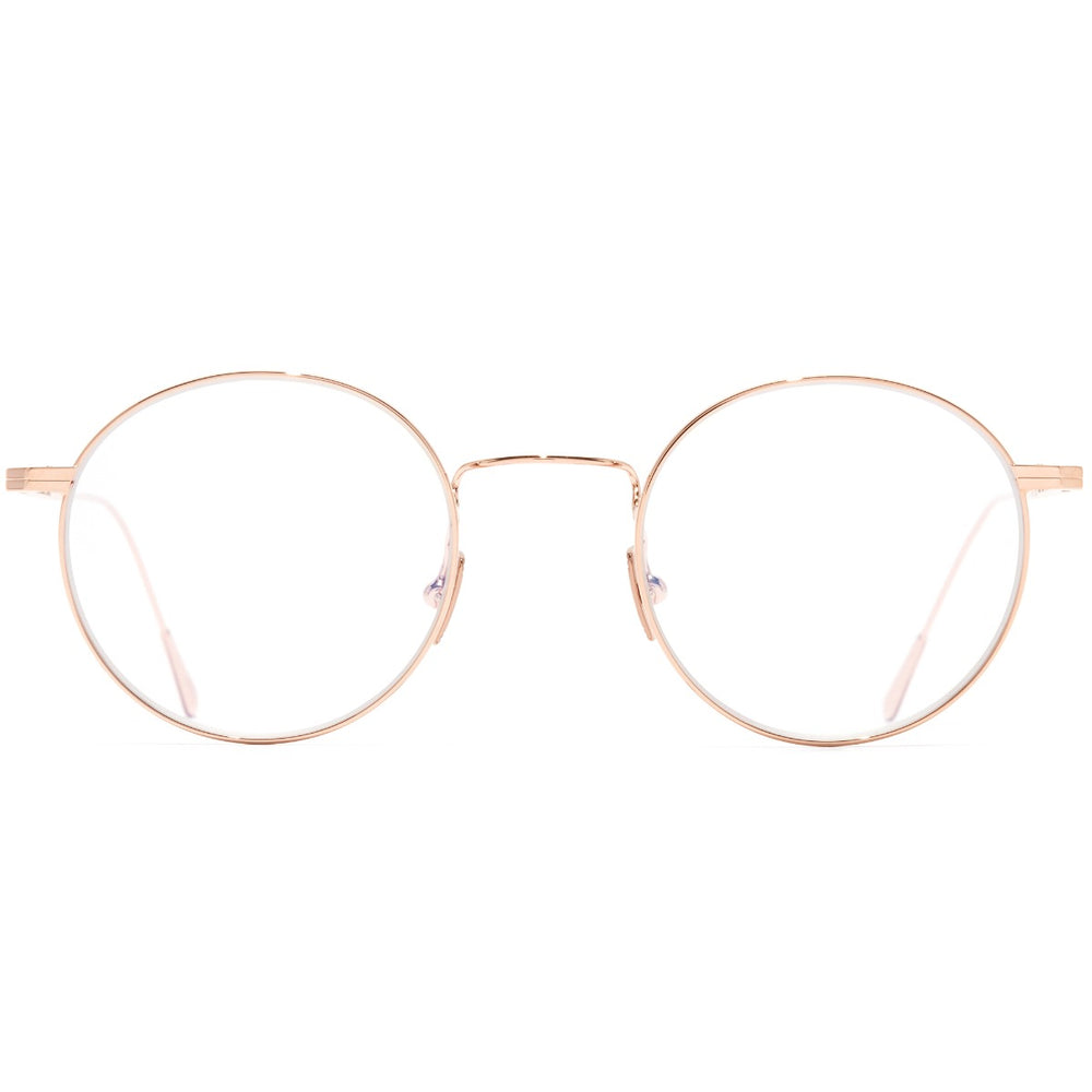 Cutler and Gross AUOP-0001 02 48