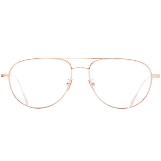 Cutler and Gross AUOP-0002 02 56