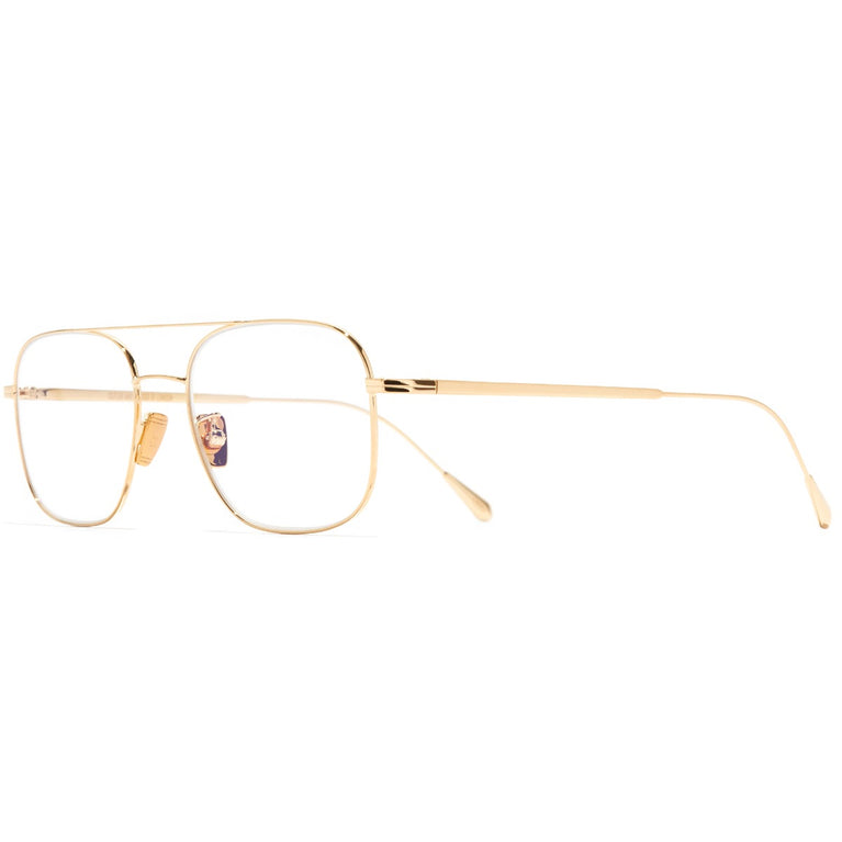 Cutler and Gross AUOP-0003 03 52