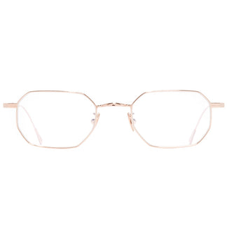 Cutler and Gross AUOP-0005 02 48
