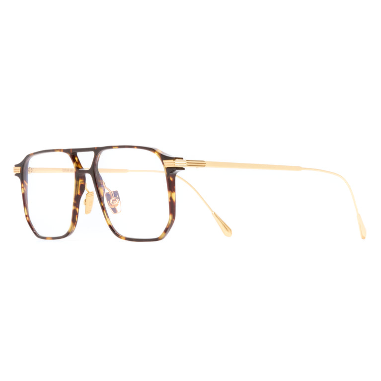 Cutler and Gross AUOP-0006 02 55