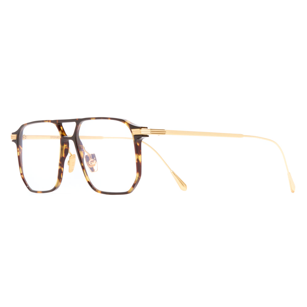 Cutler and Gross AUOP-0006 02 55