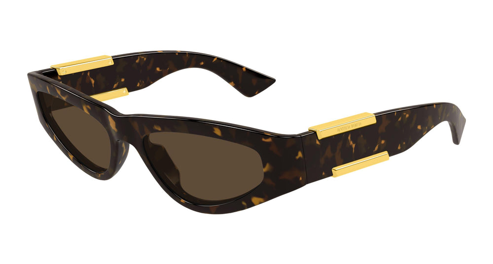 Bottega Veneta BV1407S 002 53