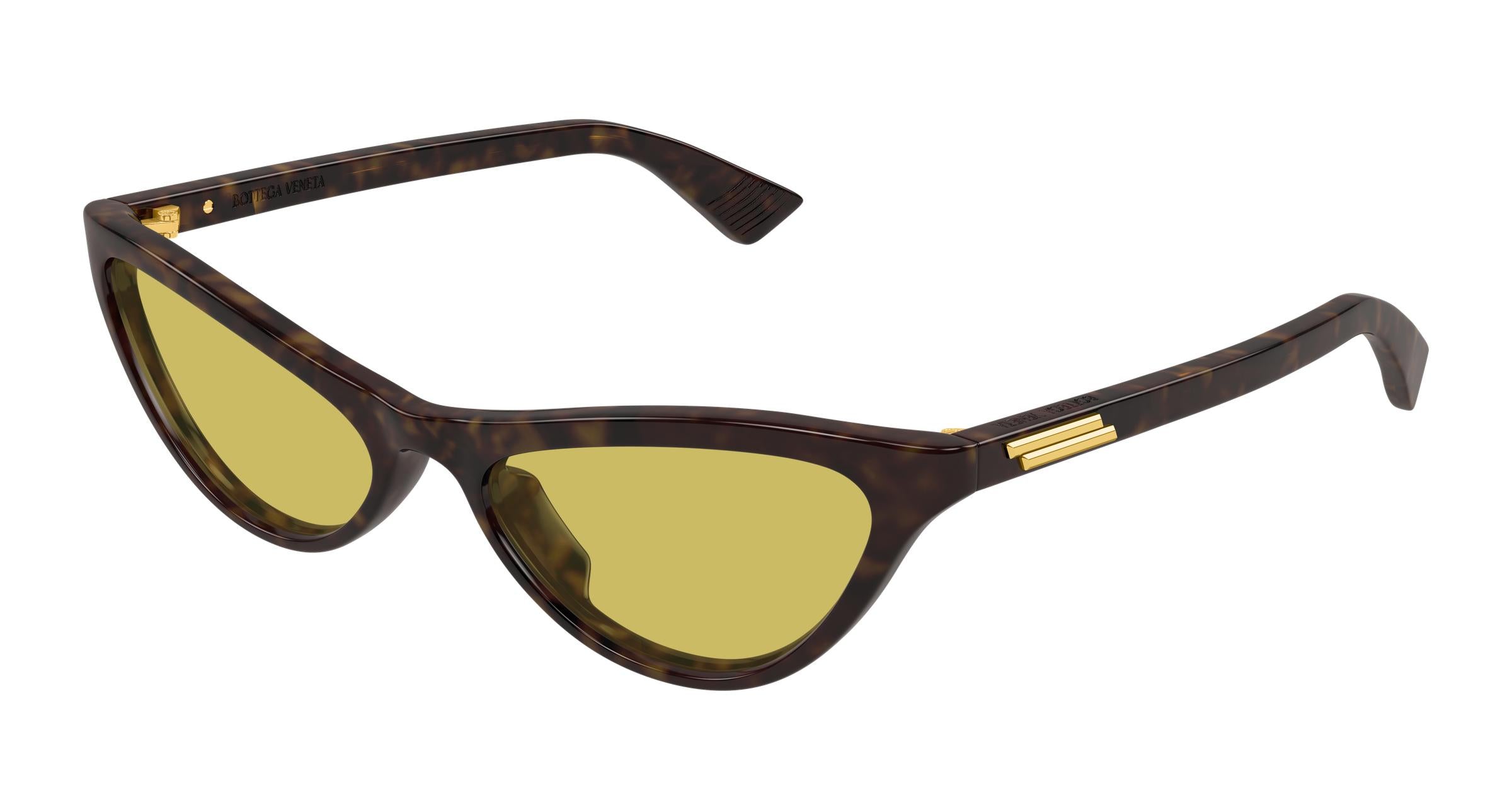 Bottega Veneta BV1414S 002 56