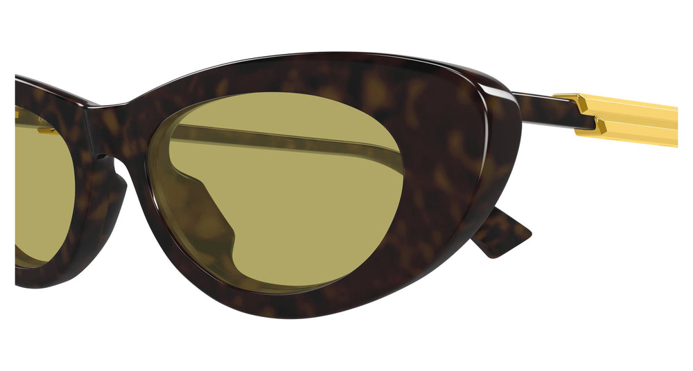 Bottega Veneta BV1447S 002 51