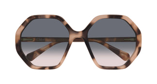 Chloé CC0004S 009 51